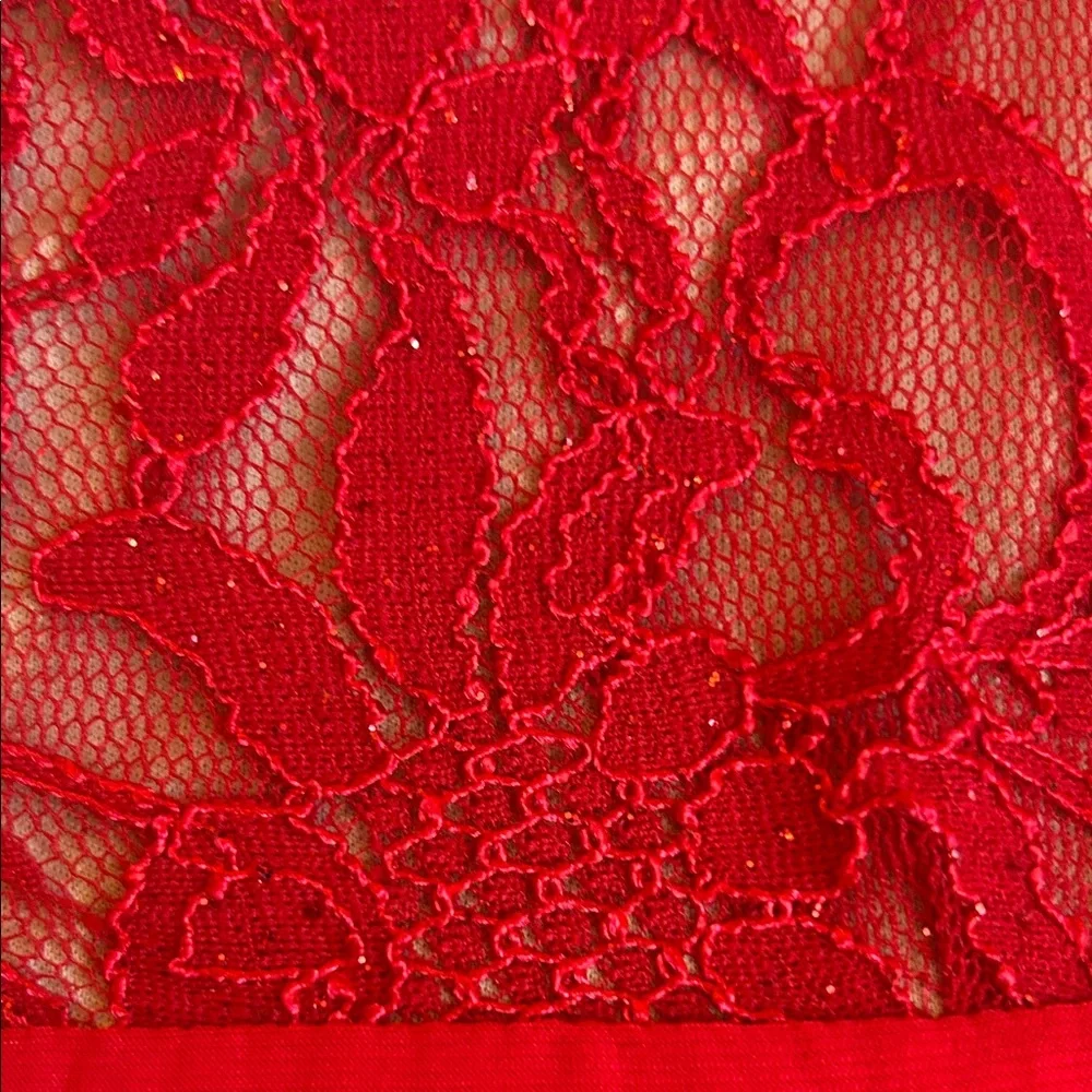 R&M Richards Red Lace Mini Dress - Picture 3 of 12